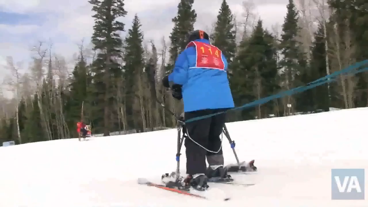 The American Veteran