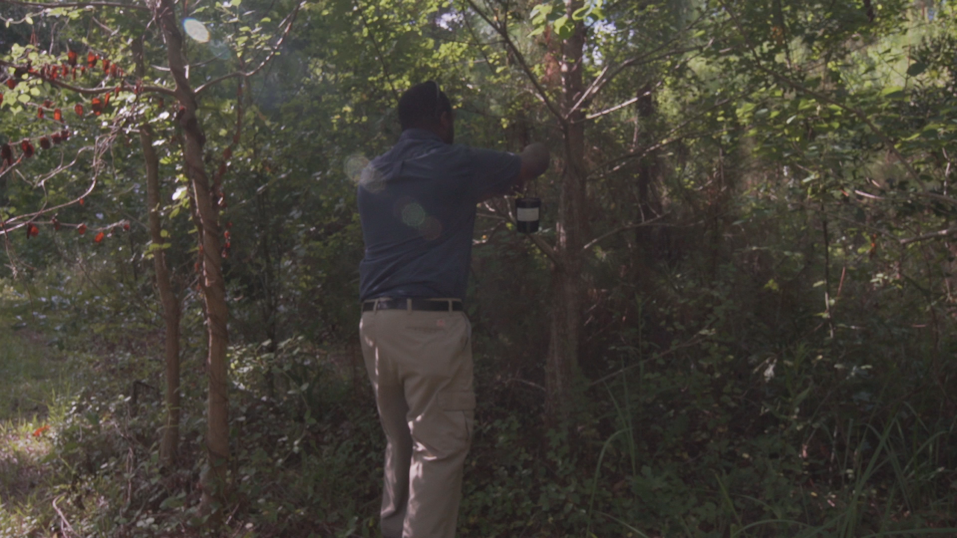 Fight The Bite St Tammany PSA