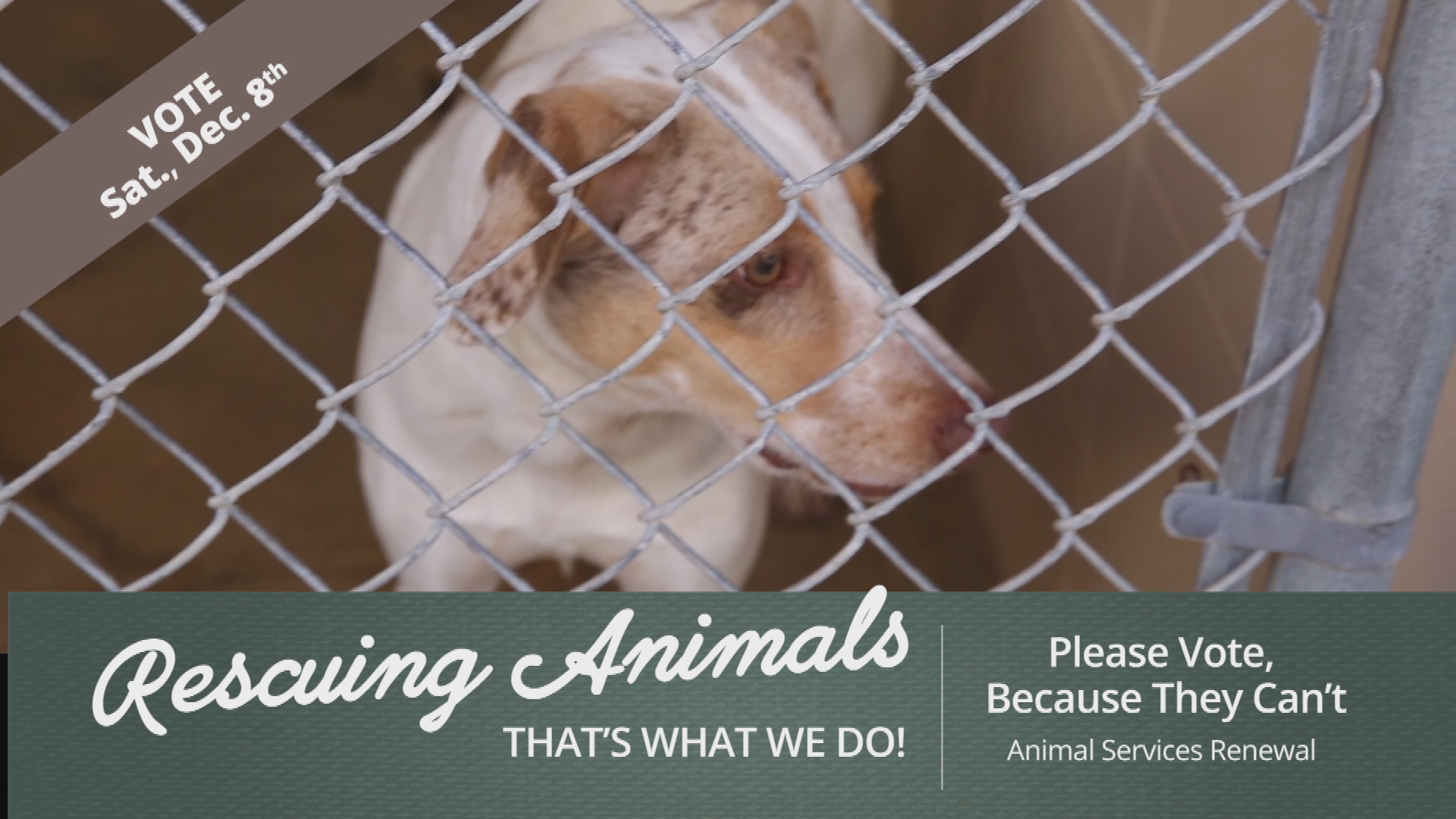 Animal Services VOTE PSA