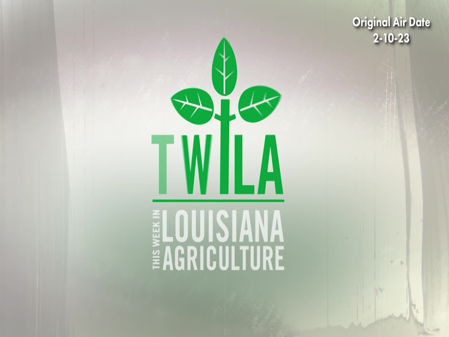 TWILA March 31, 2023