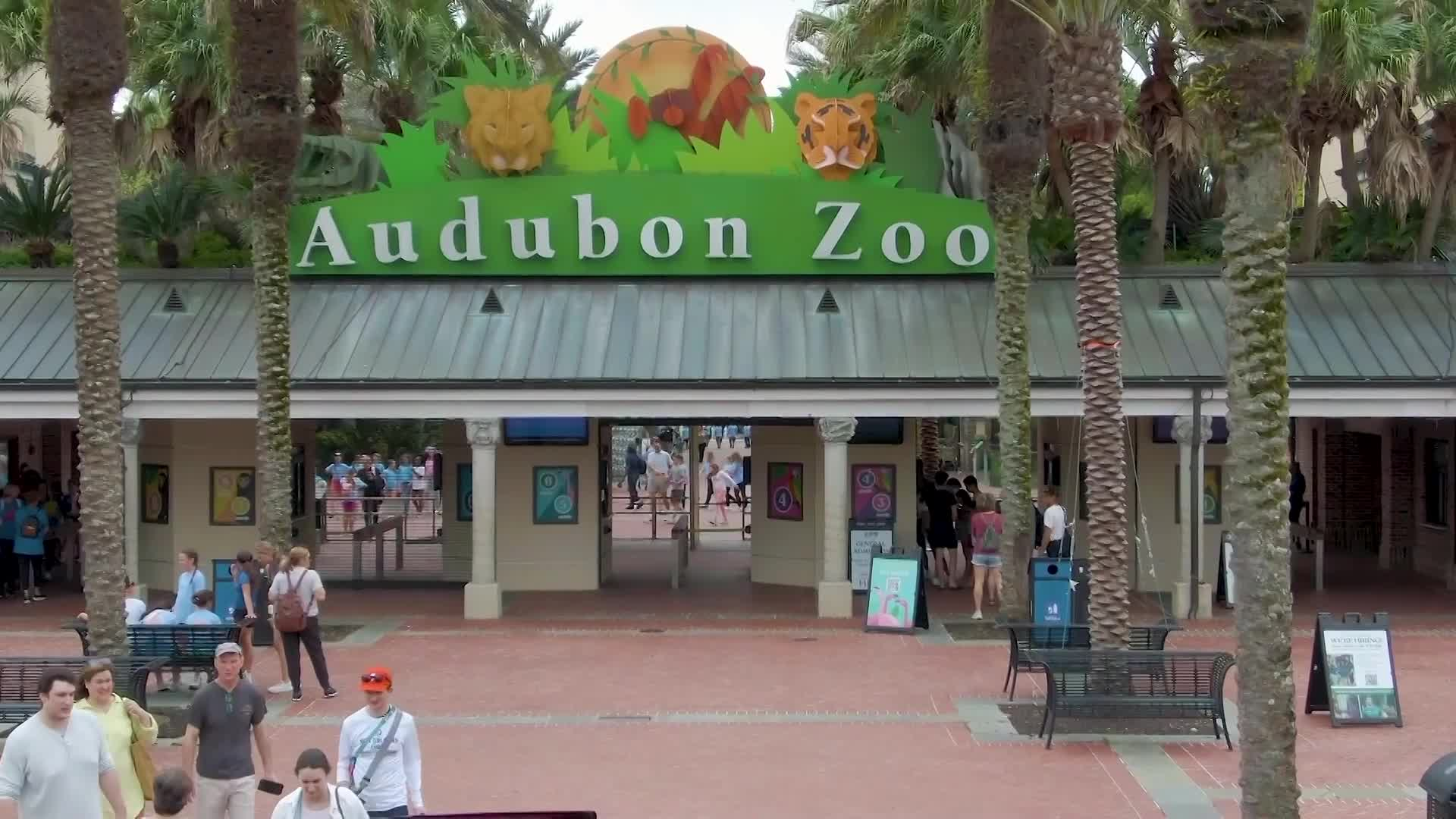 Louisiana News Magazine