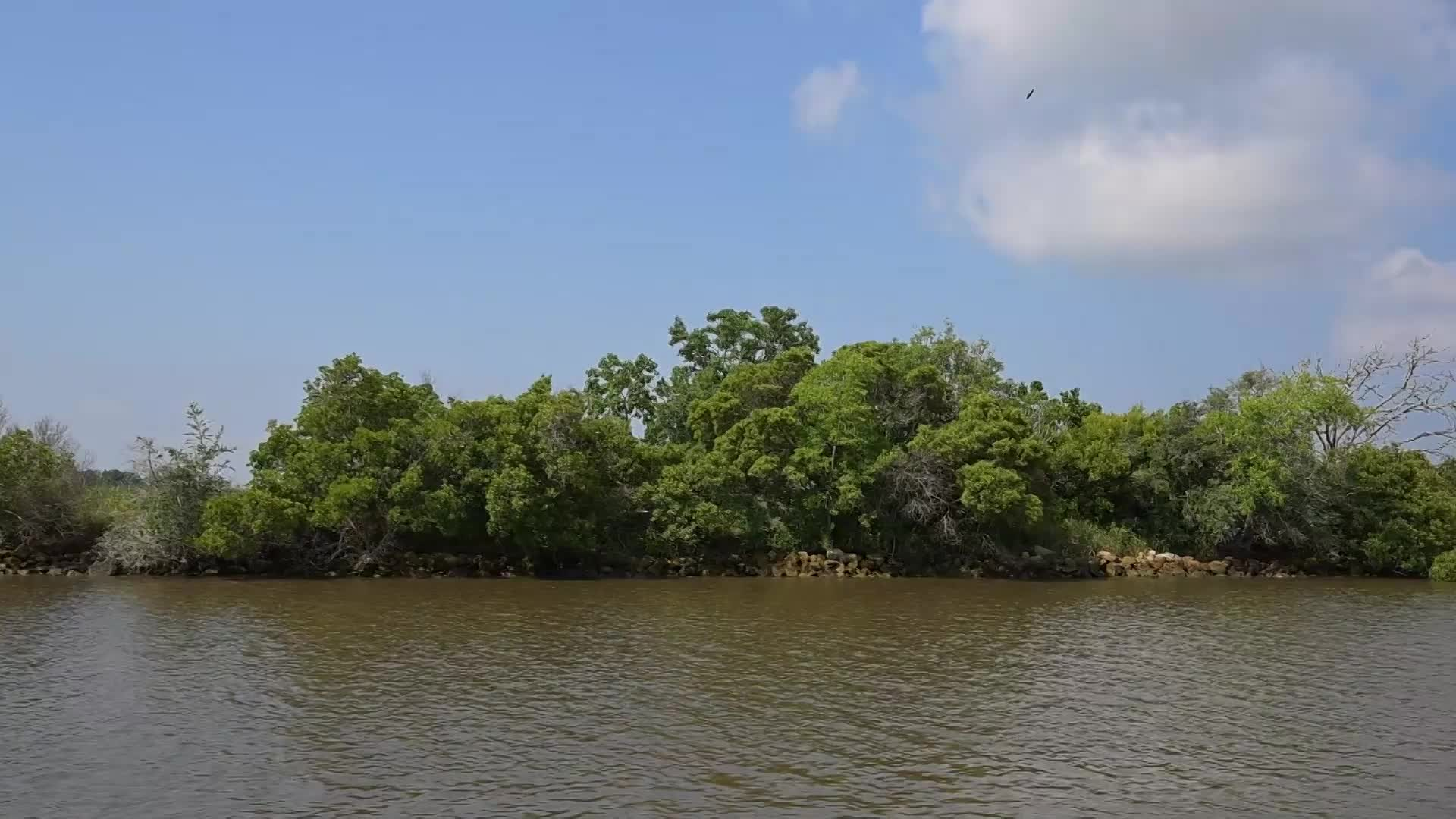 Louisiana News Magazine