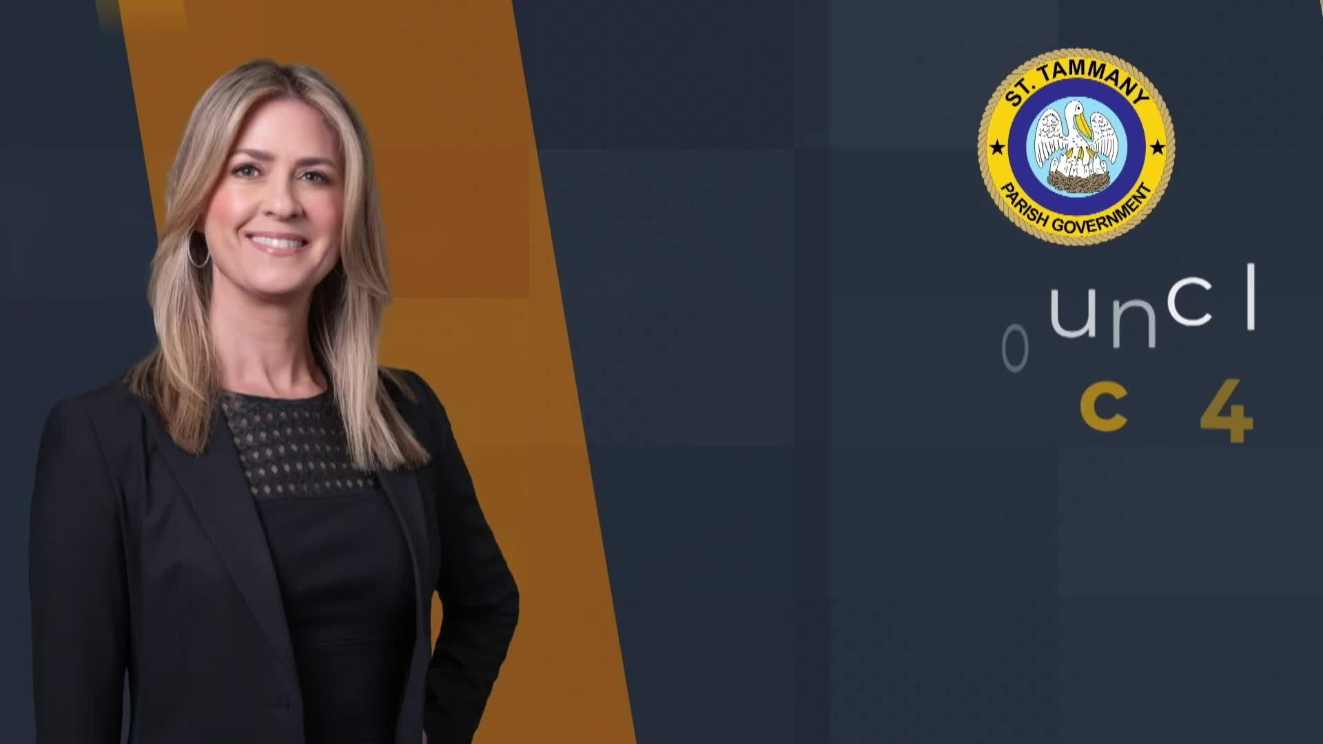 Special Council Meeting June 25, 2025 CC