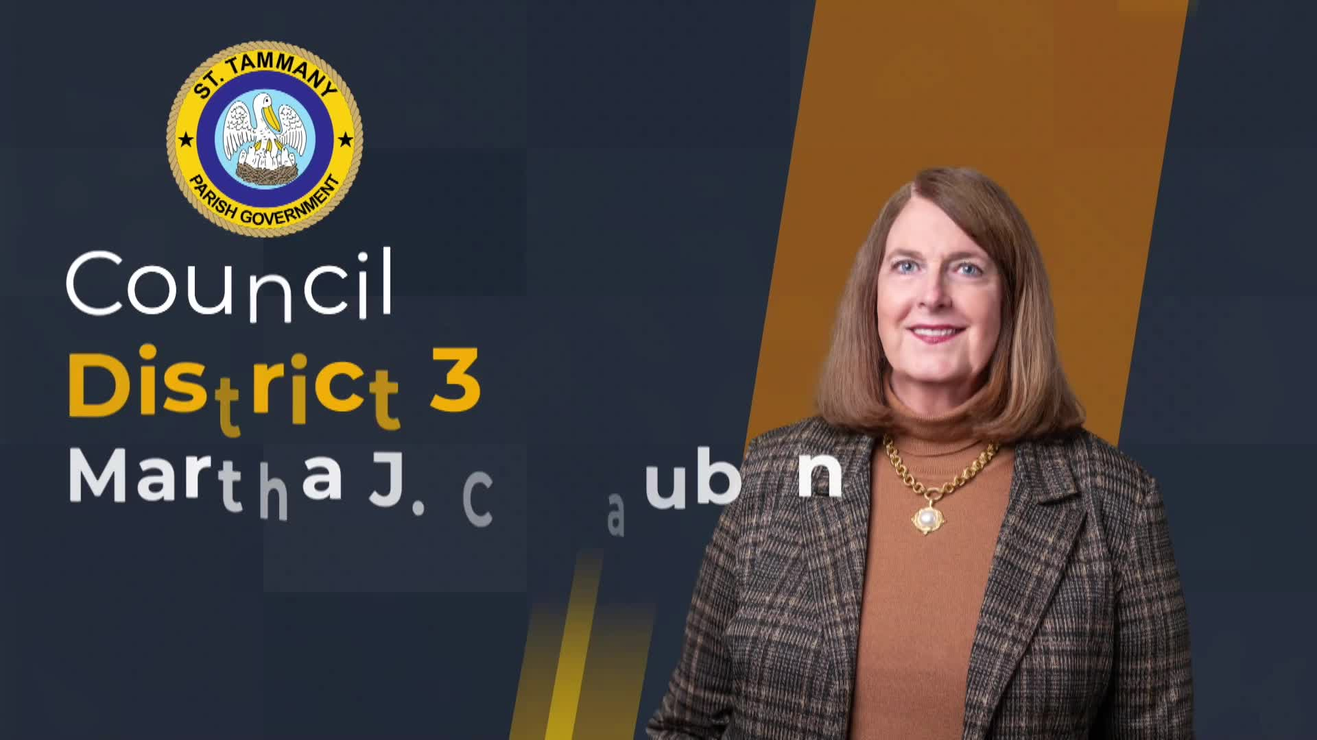 St. Tammany Parish Council Meeting : July 10, 2025