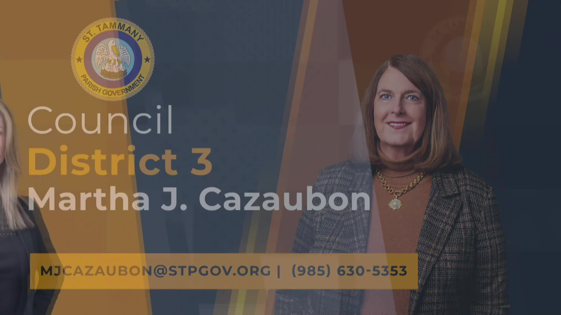 St. Tammany Parish Special Council Meeting November 17, 2025