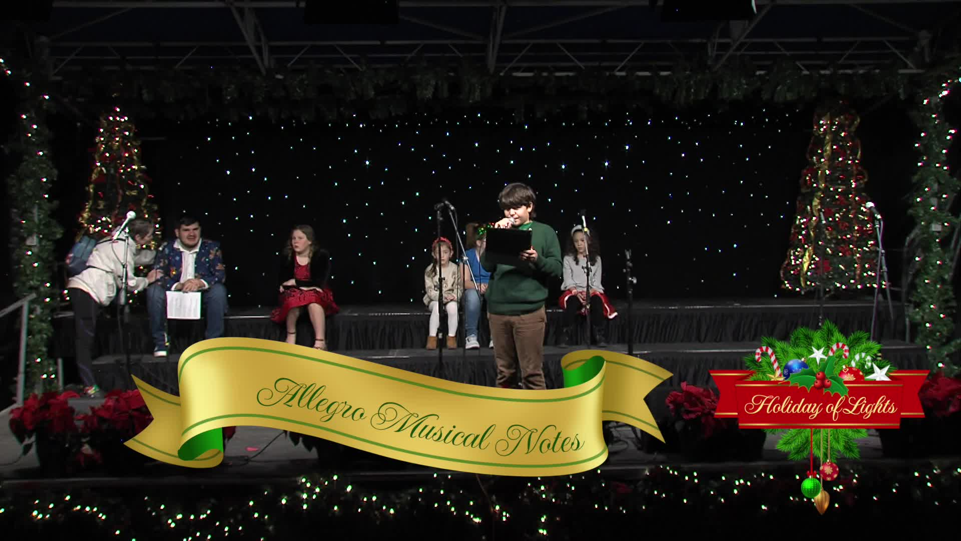 Allegro Musical Notes Holiday of Lights 2025