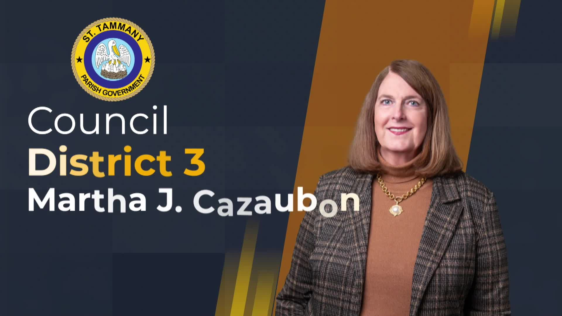 St. Tammany Parish Council Meeting : January 8th, 2026