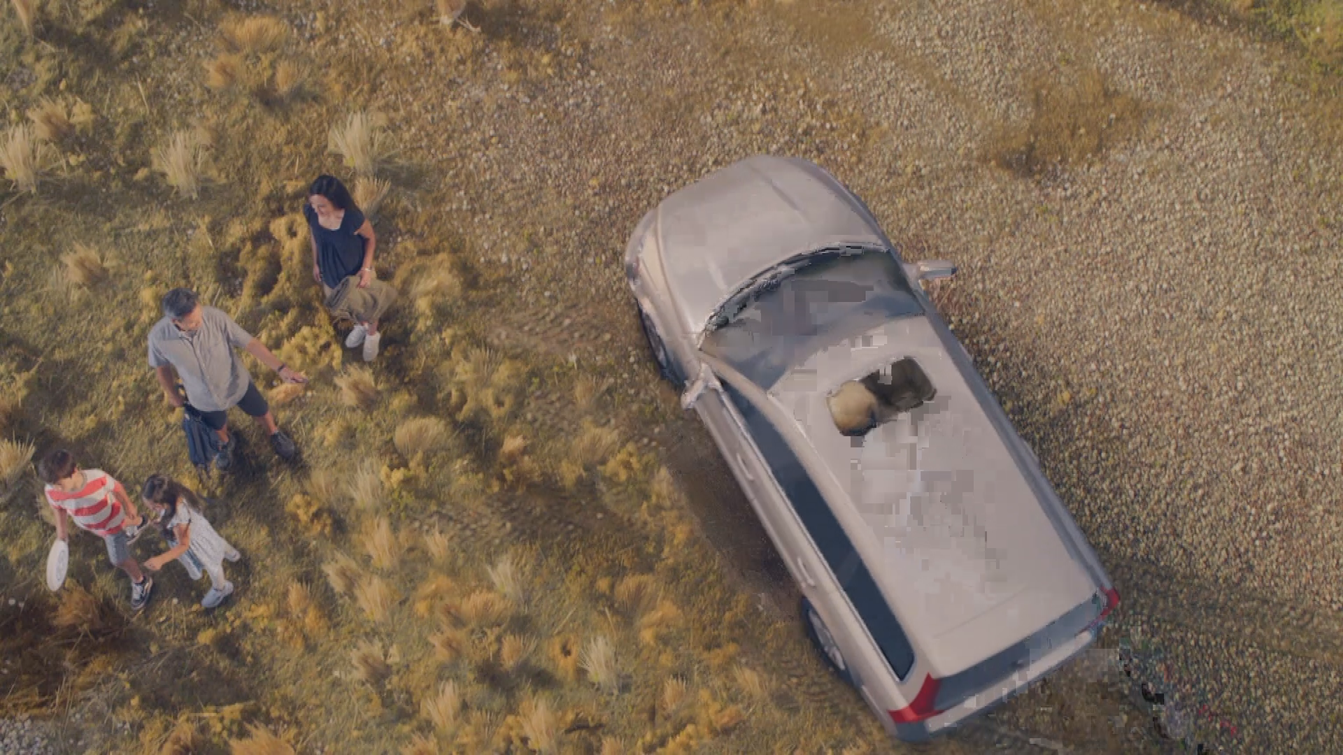 PSA Ashes Tall Grass