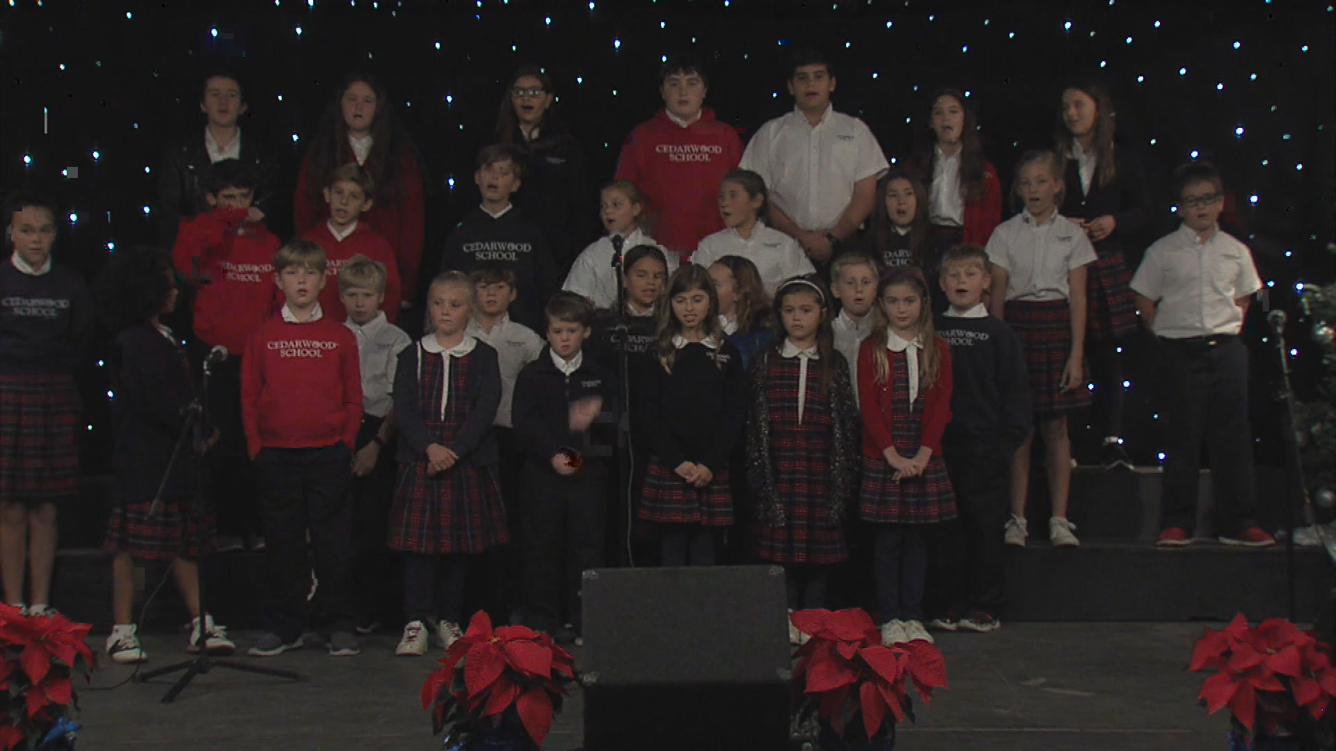 Holiday of Lights 2016 Cedarwood School