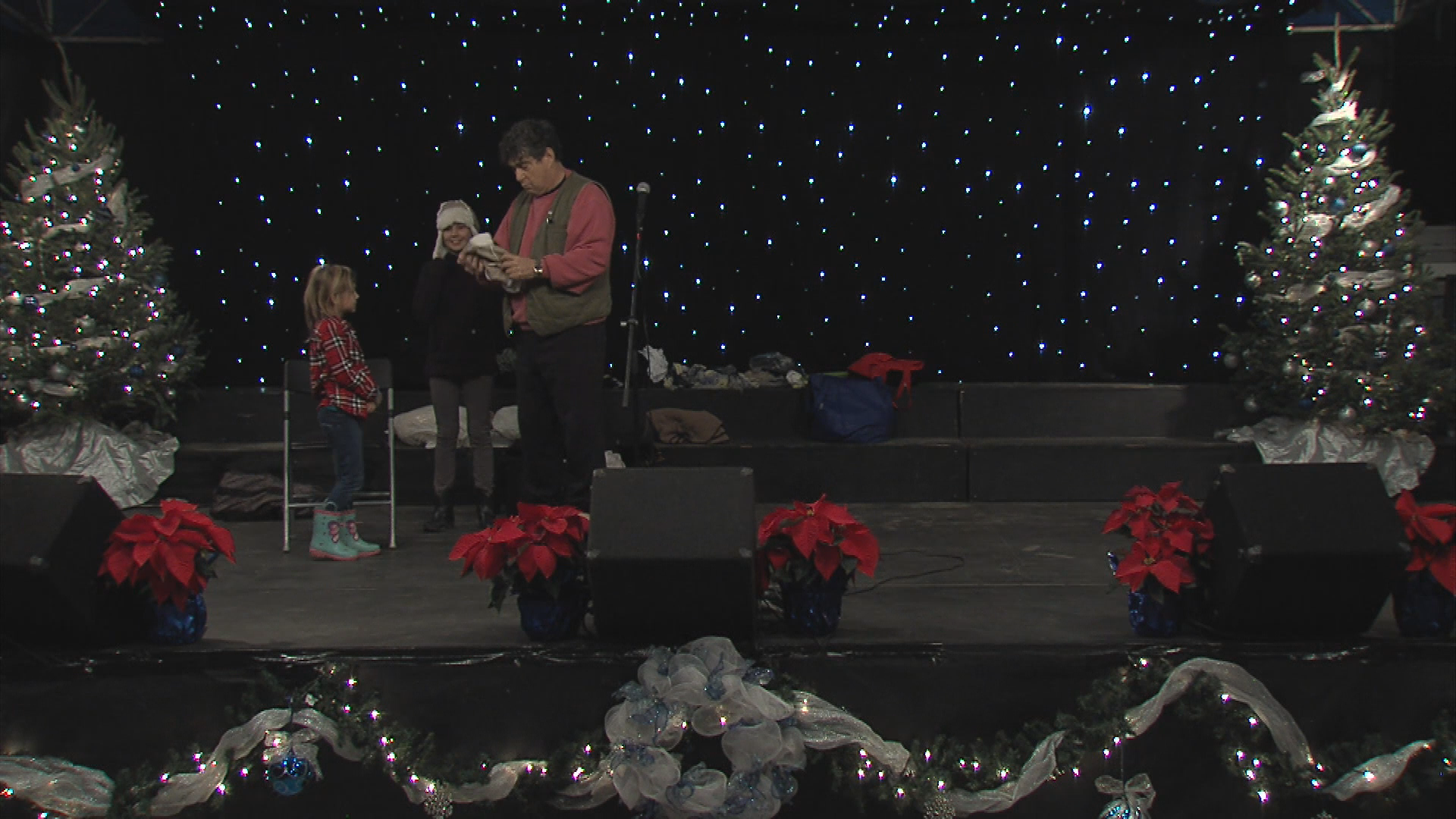 Holiday of Lights 2016 Frank Levy Holiday Folktale