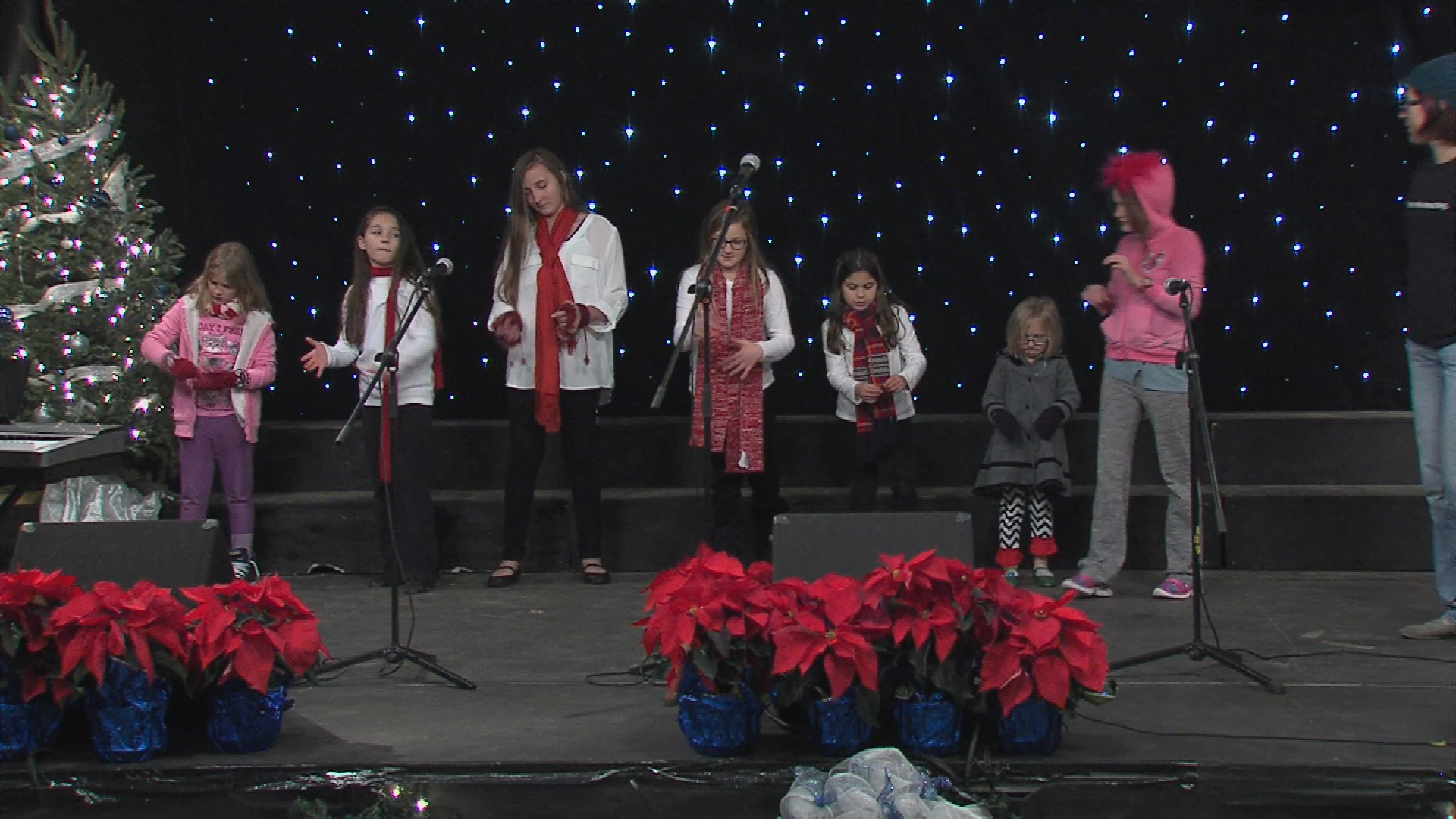 Holiday of lights 2016  Creative Arts of St Tammany