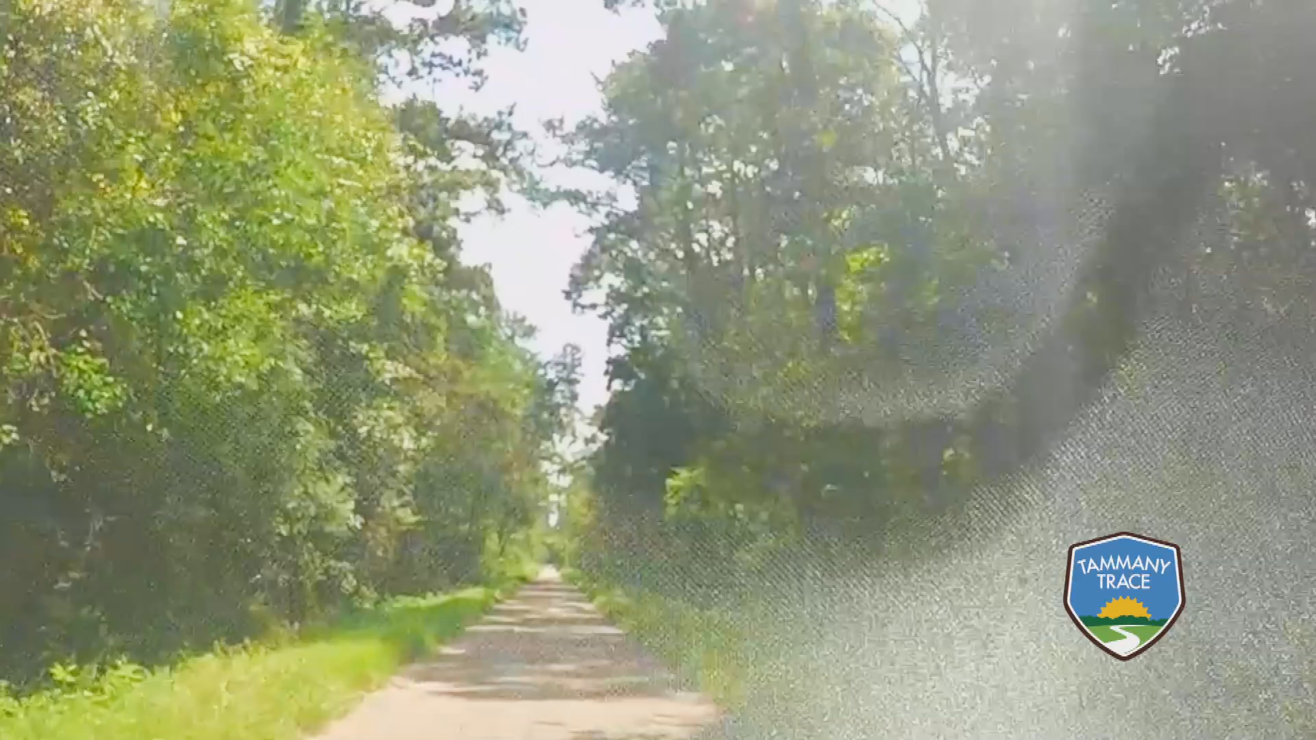 Tammany Trace Rails to Trail 27 mile Ride