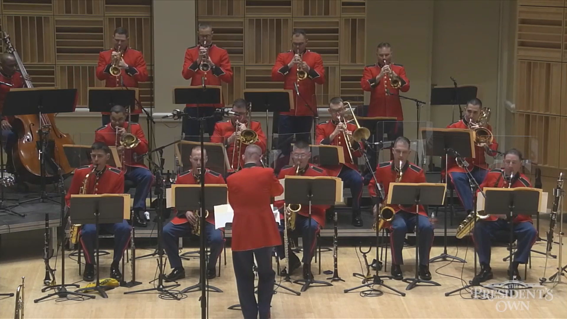 'Yo Tannenbaum' Holiday Programming